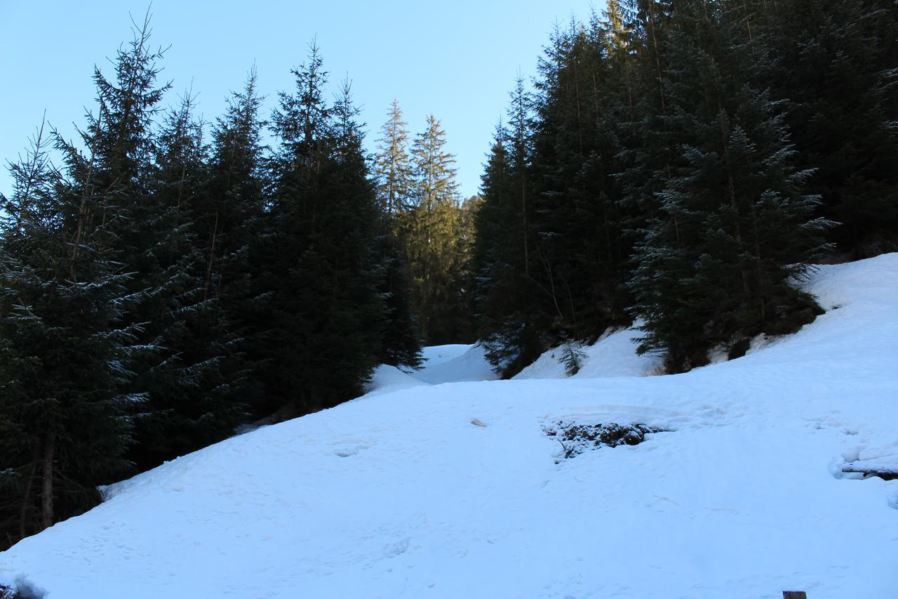 Hotel Berloga-Sinevir Synevyrs'ka Polyana Luaran gambar